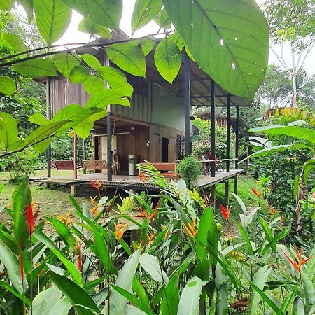 Amazona Lodge Letícia Exterior foto