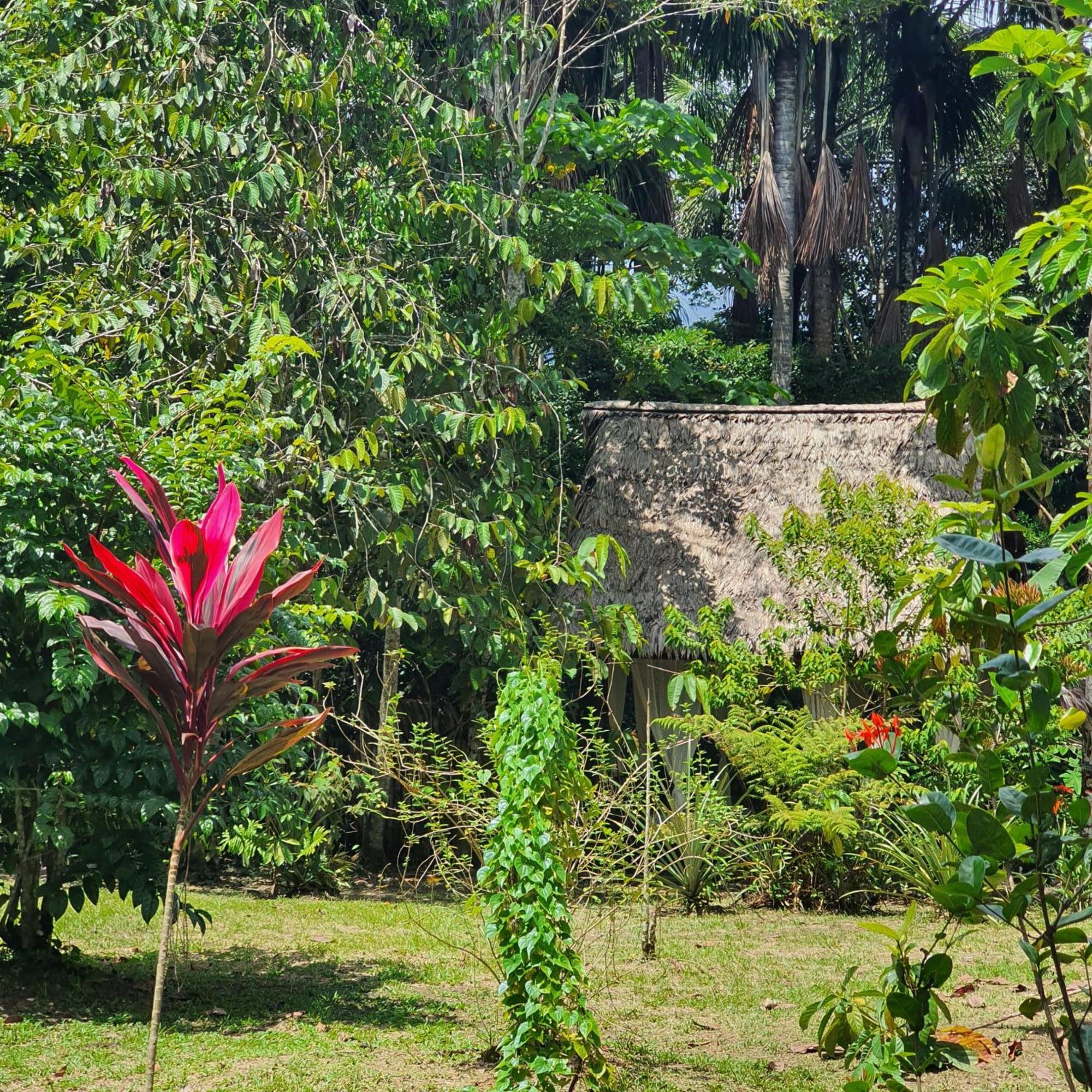 Amazona Lodge Letícia Exterior foto