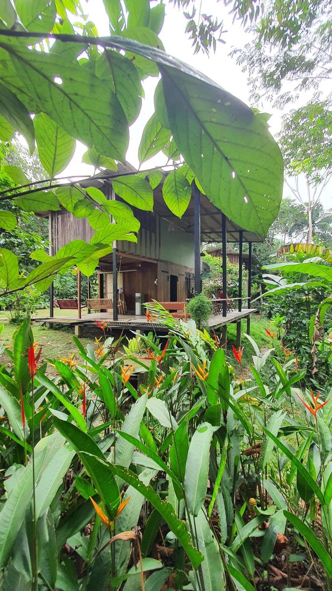 Amazona Lodge Letícia Exterior foto