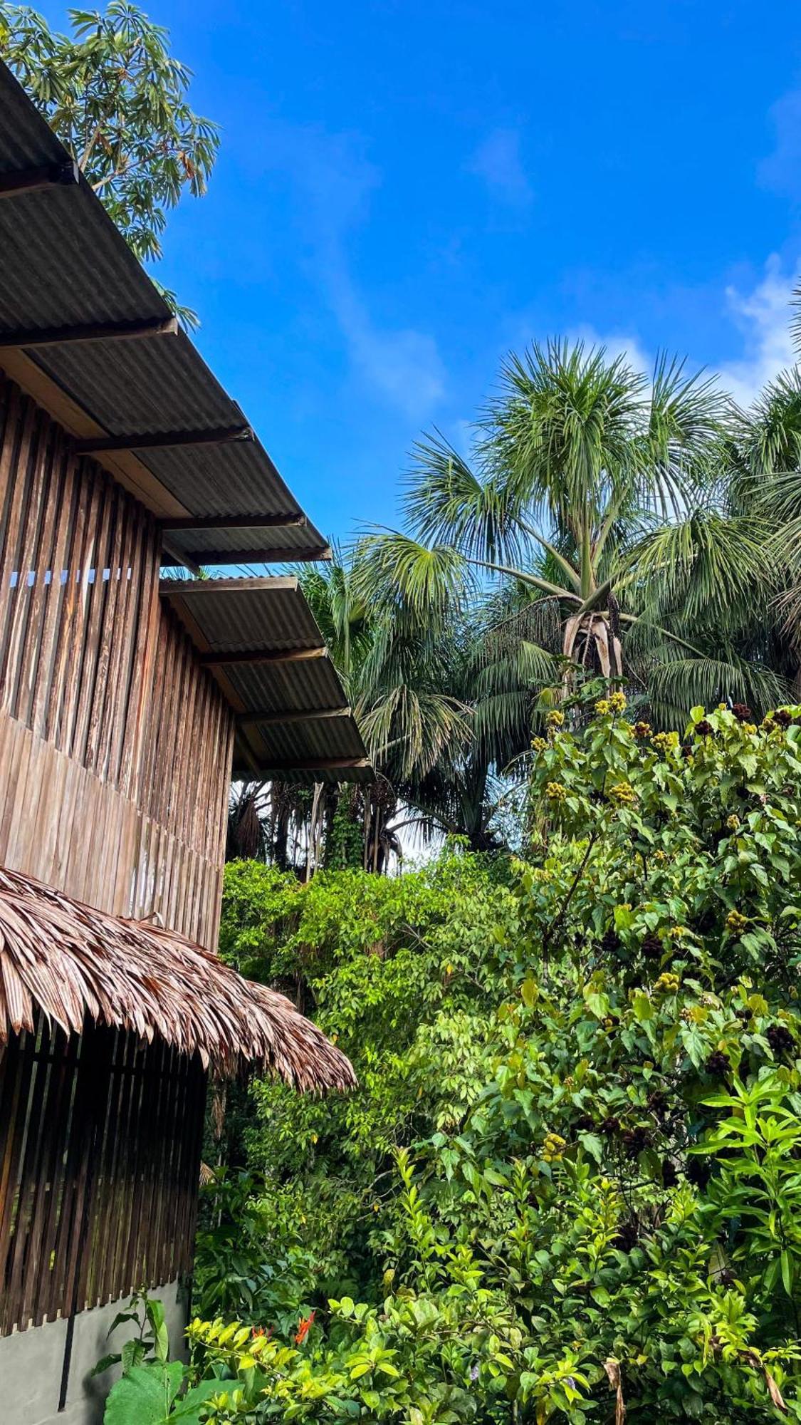 Amazona Lodge Letícia Exterior foto