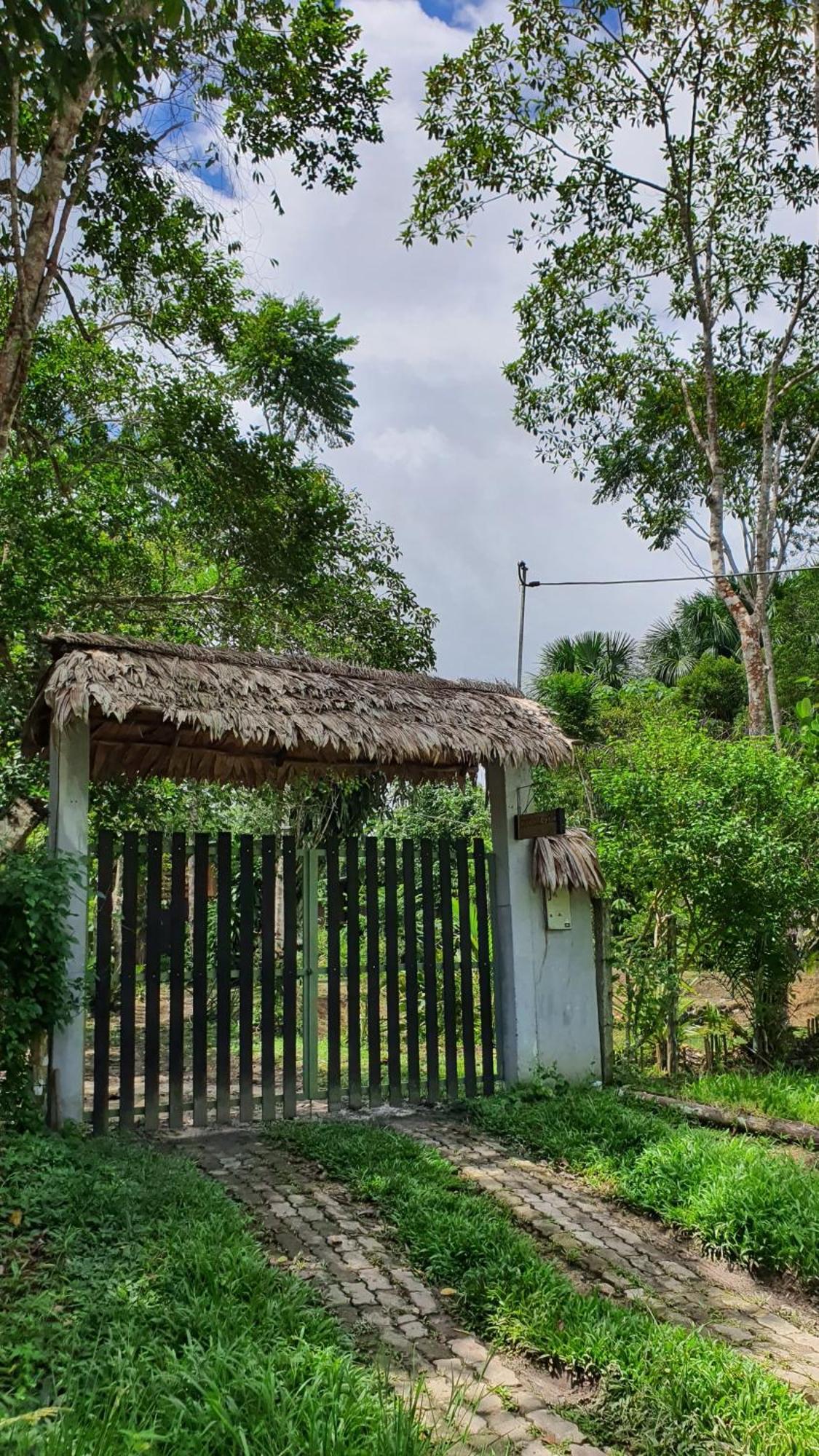 Amazona Lodge Letícia Exterior foto