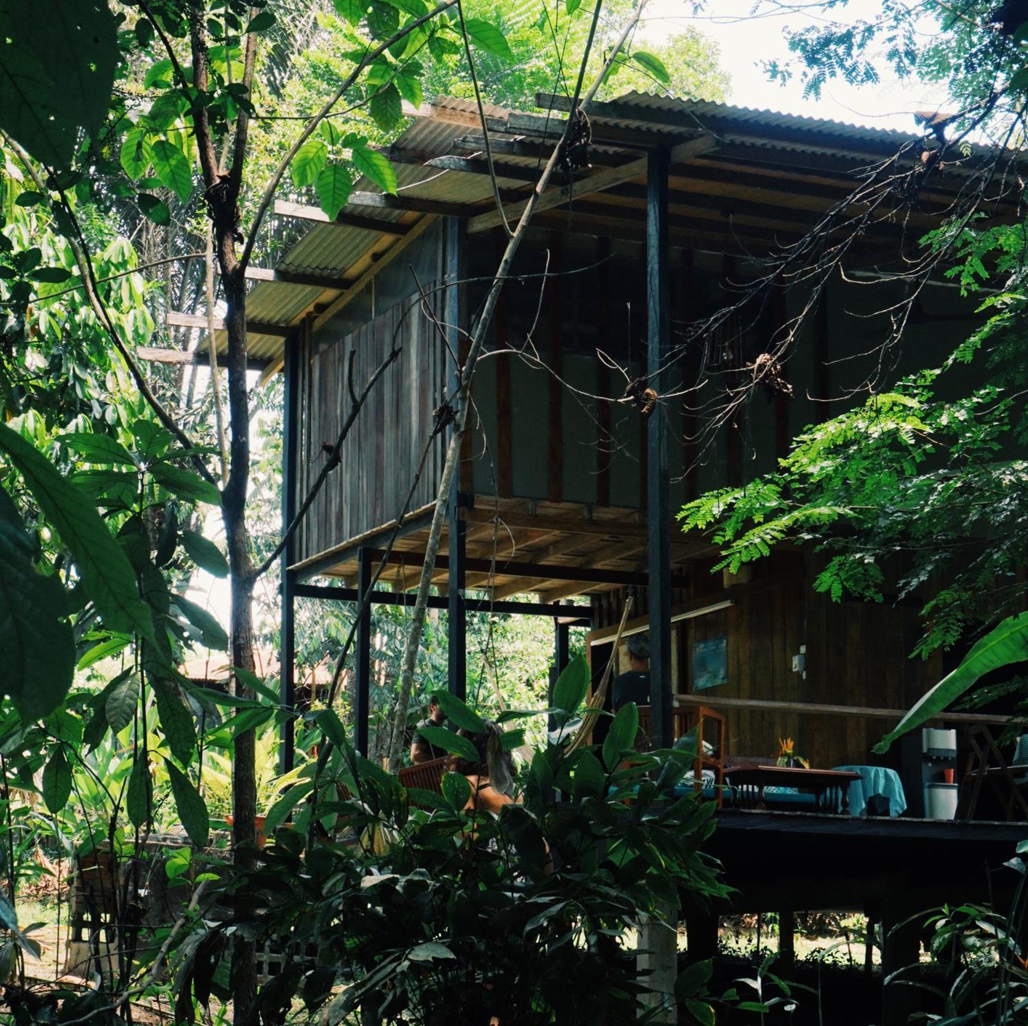 Amazona Lodge Letícia Exterior foto
